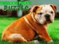 Παιχνίδι Bulldog Puppy Puzzle