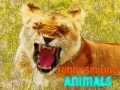 Παιχνίδι Funny Smiling Animals