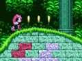 Παιχνίδι Mighty & Ray In Sonic 2