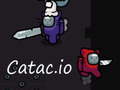 Παιχνίδι Catac.io