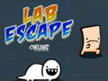 Παιχνίδι Lab Escape Online