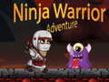 Παιχνίδι Ninja Warrior Adventure