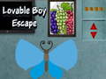 Παιχνίδι Lovable Boy Escape