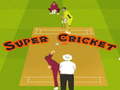Παιχνίδι Super Cricket 