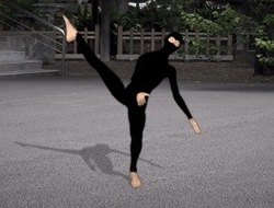 Ακαδημία Ninja 