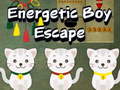 Παιχνίδι Energetic Boy Escape