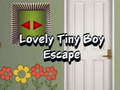Παιχνίδι Lovely Tiny Boy Escape