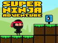 Παιχνίδι Super Adventure Ninja