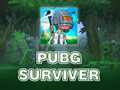 Παιχνίδι PUBG Surviver