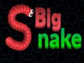 Παιχνίδι Big Snake