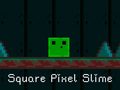 Παιχνίδι Square Pixel Slime