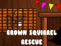 Παιχνίδι Brown Squirrel Rescue