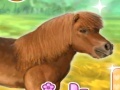 Παιχνίδι My Dear Pony