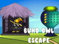 Παιχνίδι Buho Owl Escape