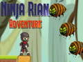 Παιχνίδι Ninja Rian Adventure