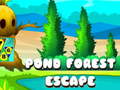 Παιχνίδι Pond Forest Escape