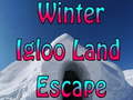 Παιχνίδι Winter Igloo Land Escape 