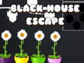 Παιχνίδι Black House Escape
