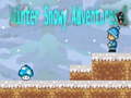 Παιχνίδι Winter Snowy Adventures 1