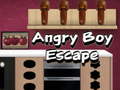 Παιχνίδι Angry Boy Escape