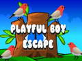 Παιχνίδι Playful Boy Escape