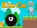 Παιχνίδι Kim Cat