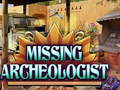 Παιχνίδι Missing Archeologist