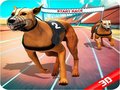 Παιχνίδι Crazy Dog Race