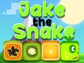 Παιχνίδι Jake The Snake