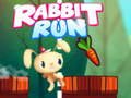 Παιχνίδι Rabbit Run