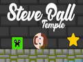 Παιχνίδι Steve Ball Temple