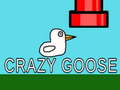 Παιχνίδι Crazy Goose