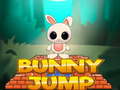 Παιχνίδι Bunny Jump