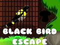 Παιχνίδι Black Bird Escape
