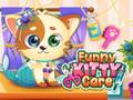 Παιχνίδι Funny Kitty Care