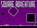 Παιχνίδι Square Adventure