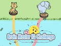 Παιχνίδι Brain Master IQ Challenge
