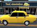 Παιχνίδι Taxi simulation training