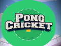 Παιχνίδι Pong Cricket