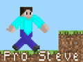 Παιχνίδι Pro Steve