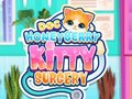 Παιχνίδι Doc HoneyBerry Kitty Surgery