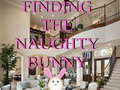Παιχνίδι Finding The Naughty Bunny