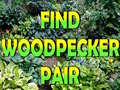 Παιχνίδι Find Woodpecker Pair 