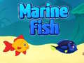 Παιχνίδι Marine Fish