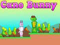 Παιχνίδι Cano Bunny