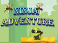 Παιχνίδι Ninja Adventure
