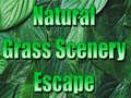 Παιχνίδι Natural Grass Scenery Escape