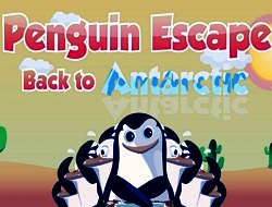 Escape Penguin Επιστροφή στην Ανταρκτική .