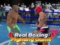 Παιχνίδι Real Boxing Fighting Game