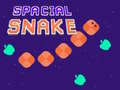 Παιχνίδι Spacial Snake